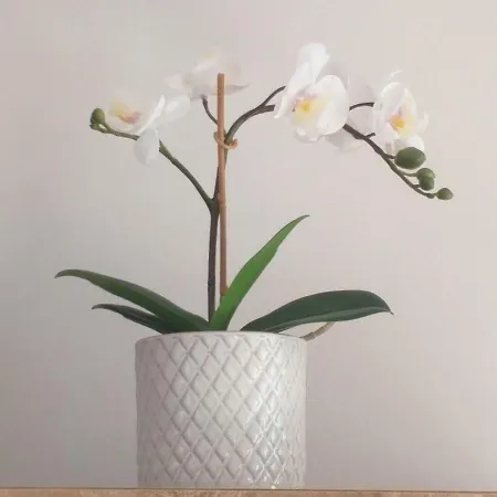 Casa Di Dario Diano dʼAlba